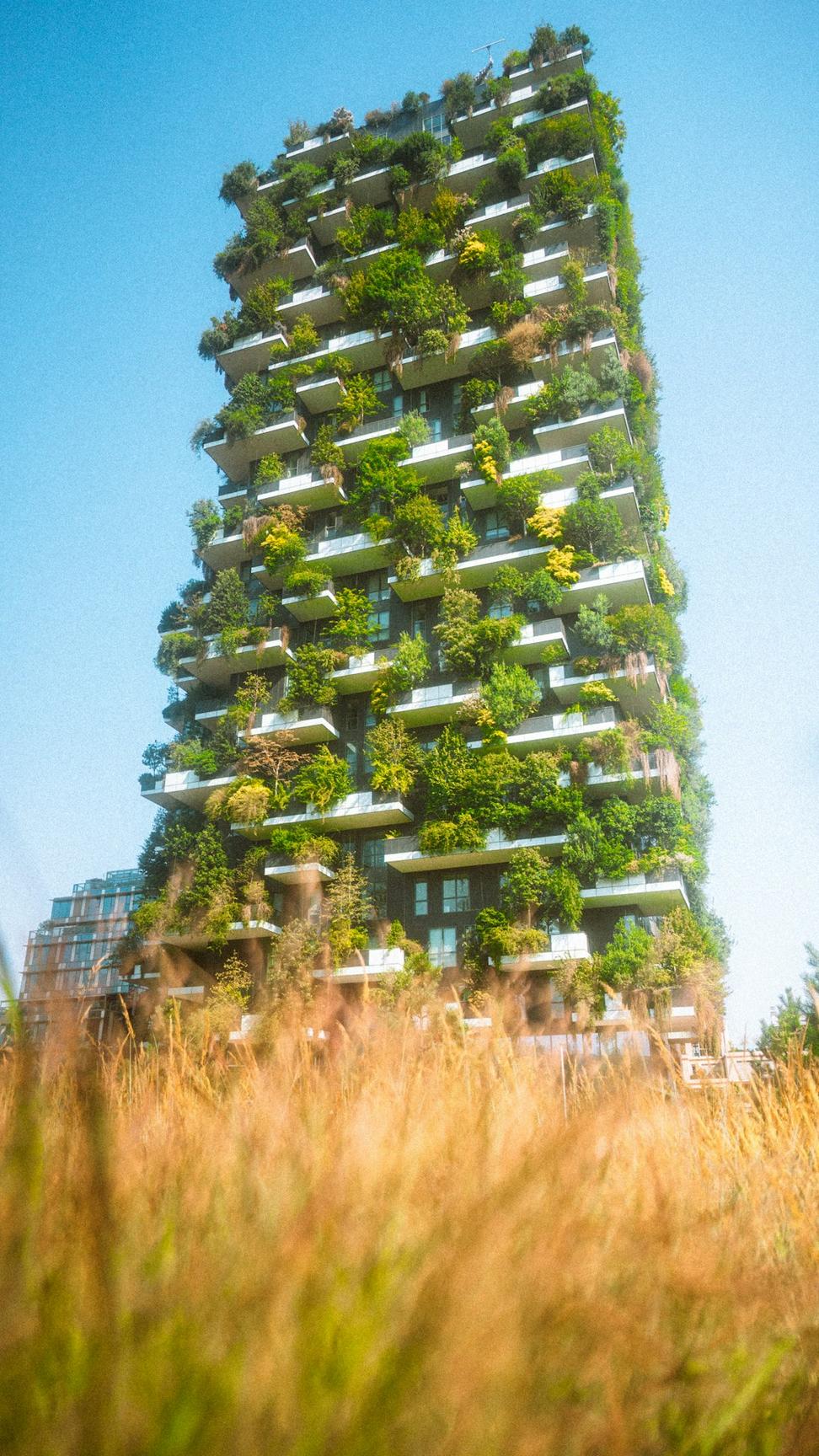 Sustainable Architecture